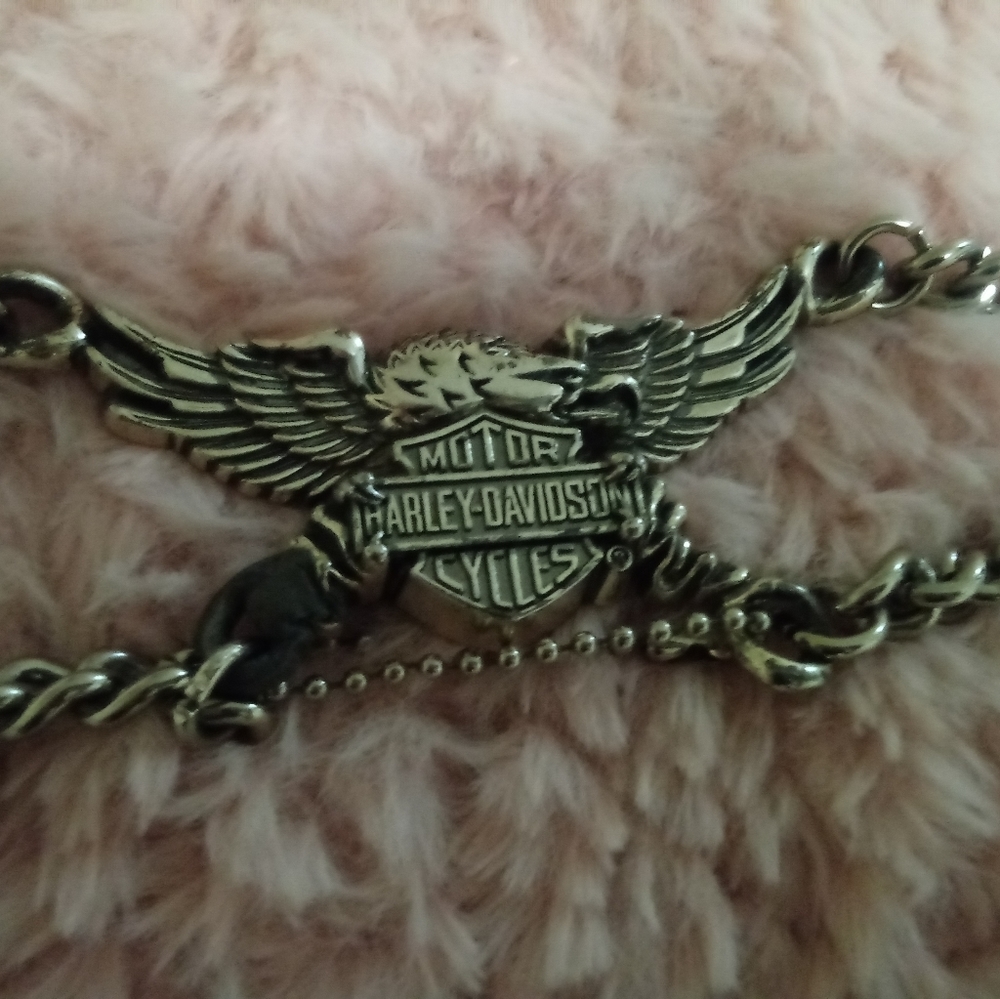 Harley Davidson metallic belt.